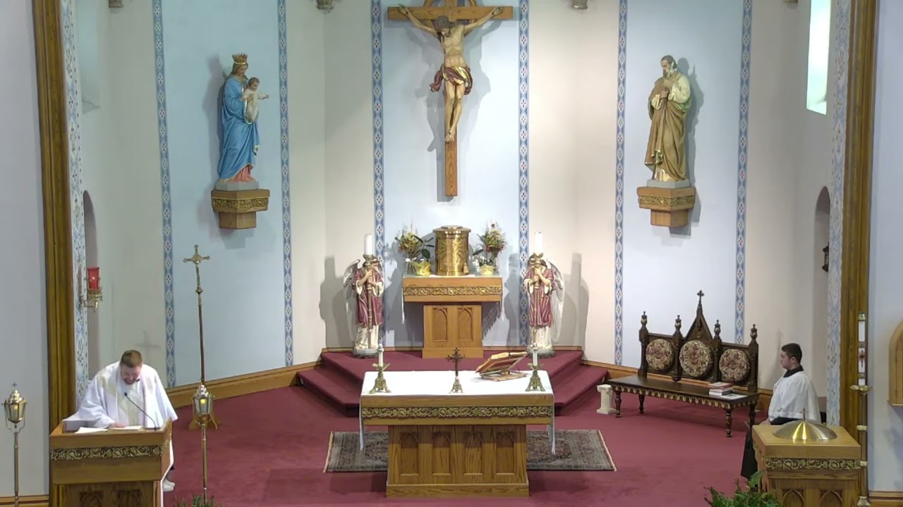 Homily from Holy Mass ~ November 23th 