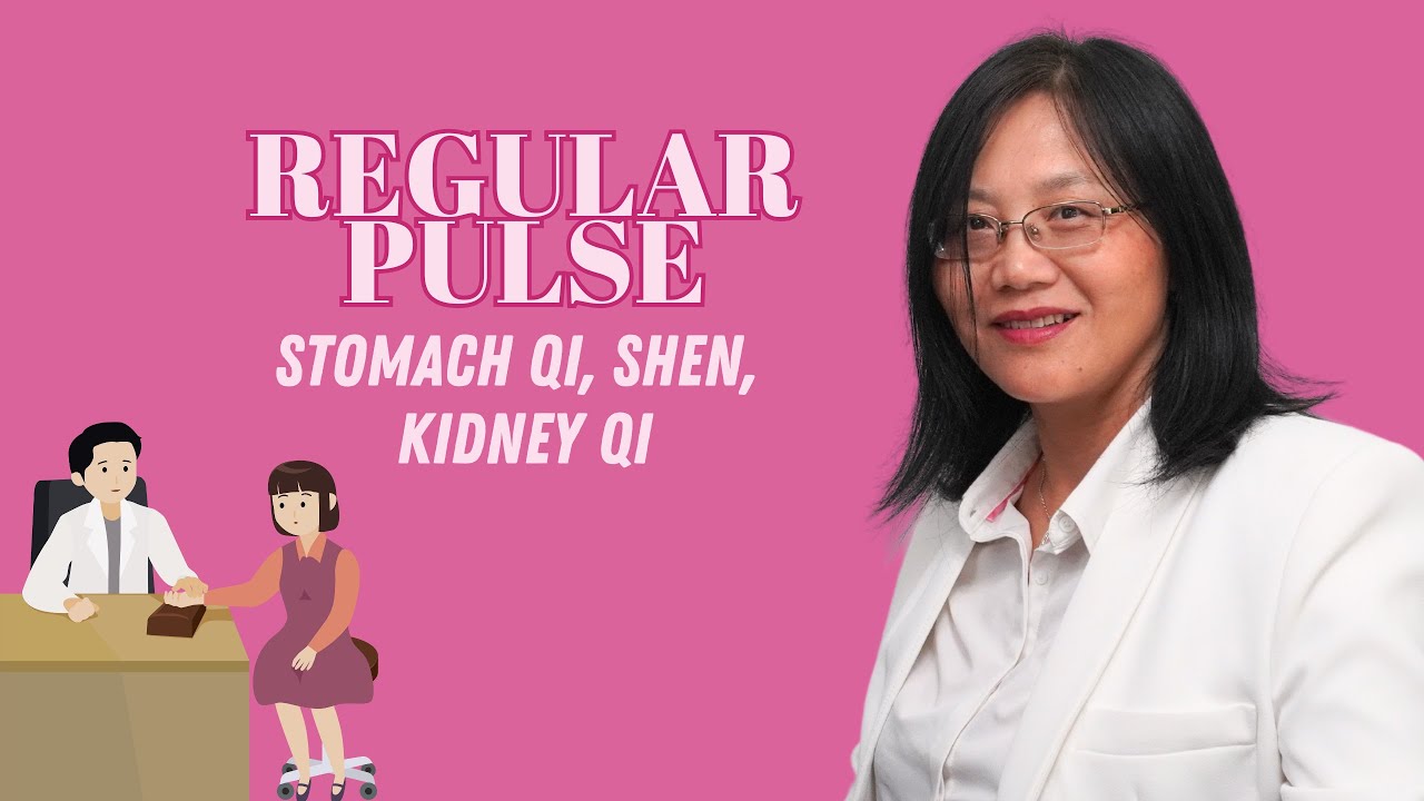 A Regular Pulse Tells Full Stomach Qi, Shen and Kidney Qi 【Chinese Pulse Diagnosis Course: P6/27】