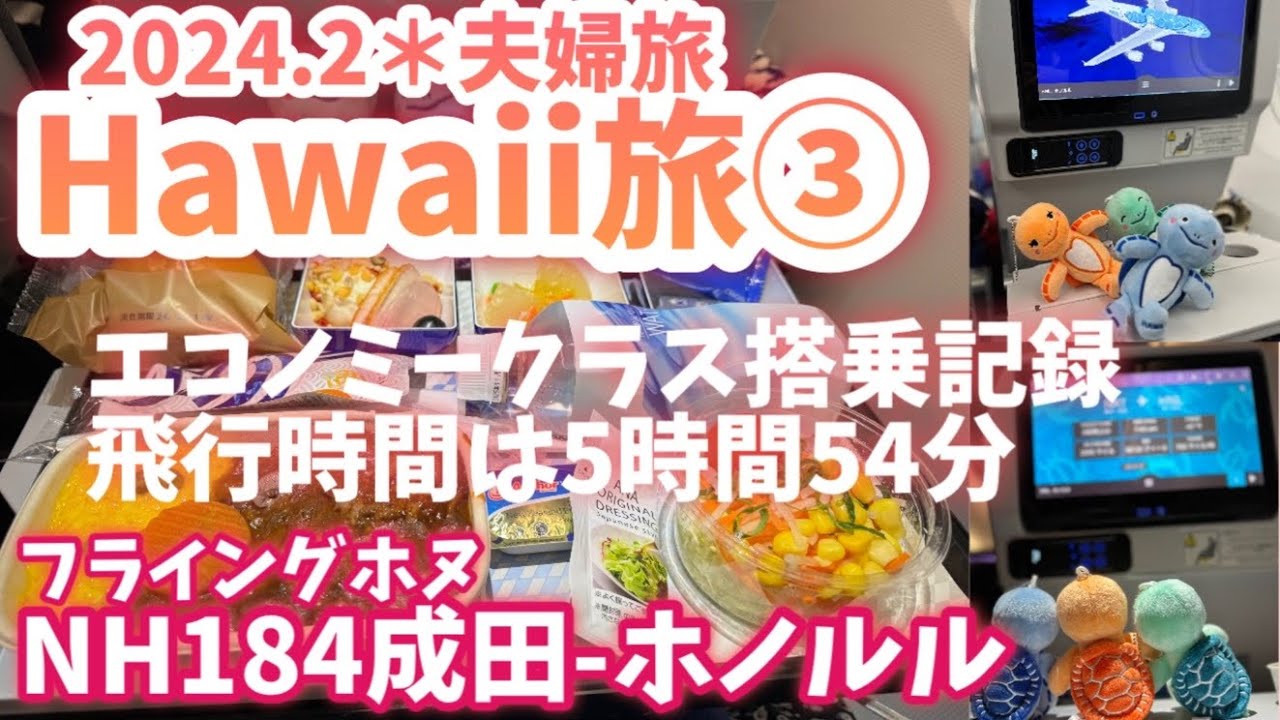 2024 ハワイ旅行③ ANAフライングホヌ　NH184 成田-ホノルル　A380　エコノミークラスでも快適な5時間54分　マイルで行くハワイ旅行　１号機ラニちゃん　JA381A