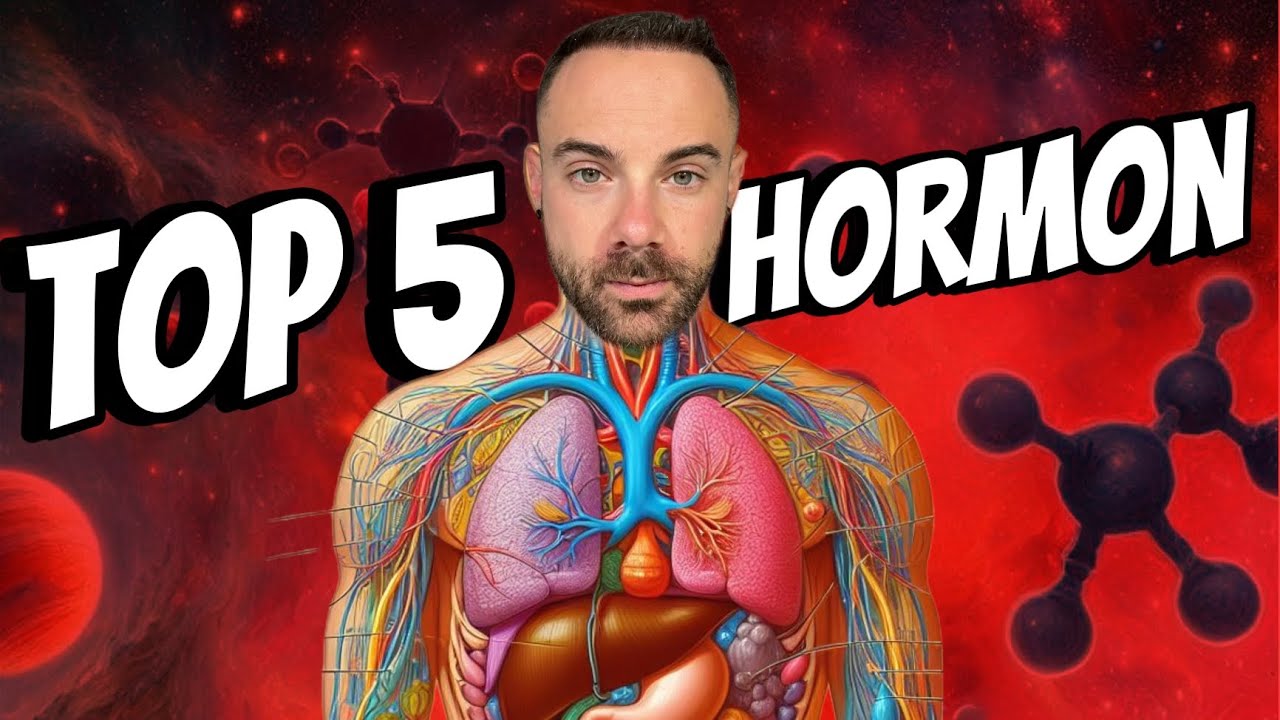 Top 5 hormon IZOMÉPÍTÉSHEZ! (így izmosodj)