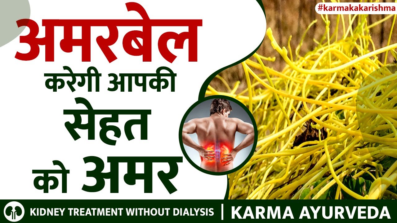 अमरबेल के फायदे किडनी और सेहत के लिए ? Amarbel kaisa hai kidney aur Sehat ke liye ? Dr Puneet Dhawan