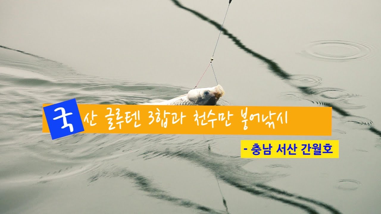 [자연지] 112.국산 글루텐 3합과 천수만 붕어낚시 - 충남 서산 간월호(2019.7.16)
