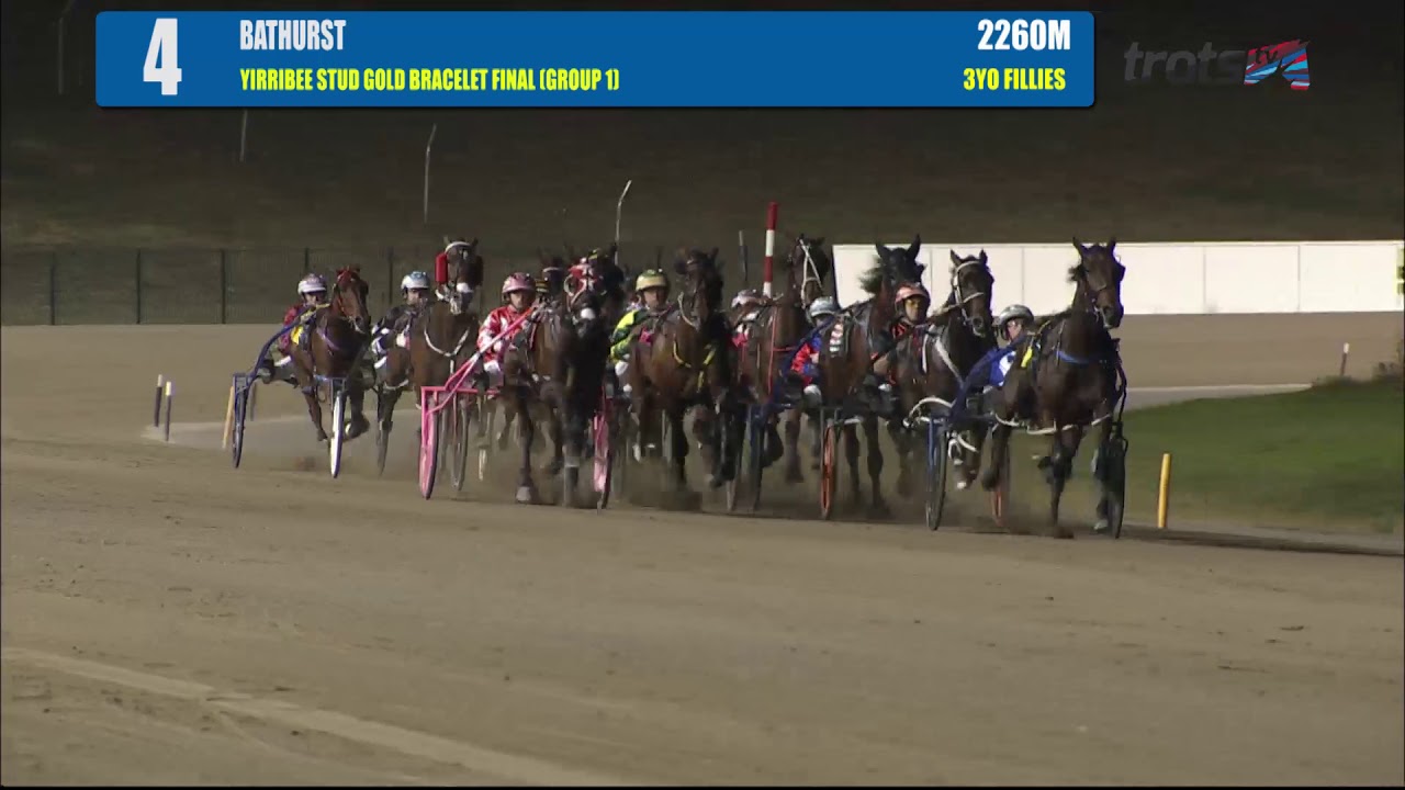 BATHURST - 29/03/2019 - Race 4 - YIRRIBEE STUD GOLD BRACELET FINAL (GROUP 1)