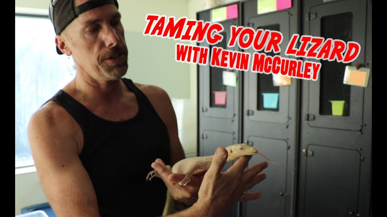 How to tame your lizard with Kevin McCurley of N.E.R.D.! | Monitor Lizard taming tips