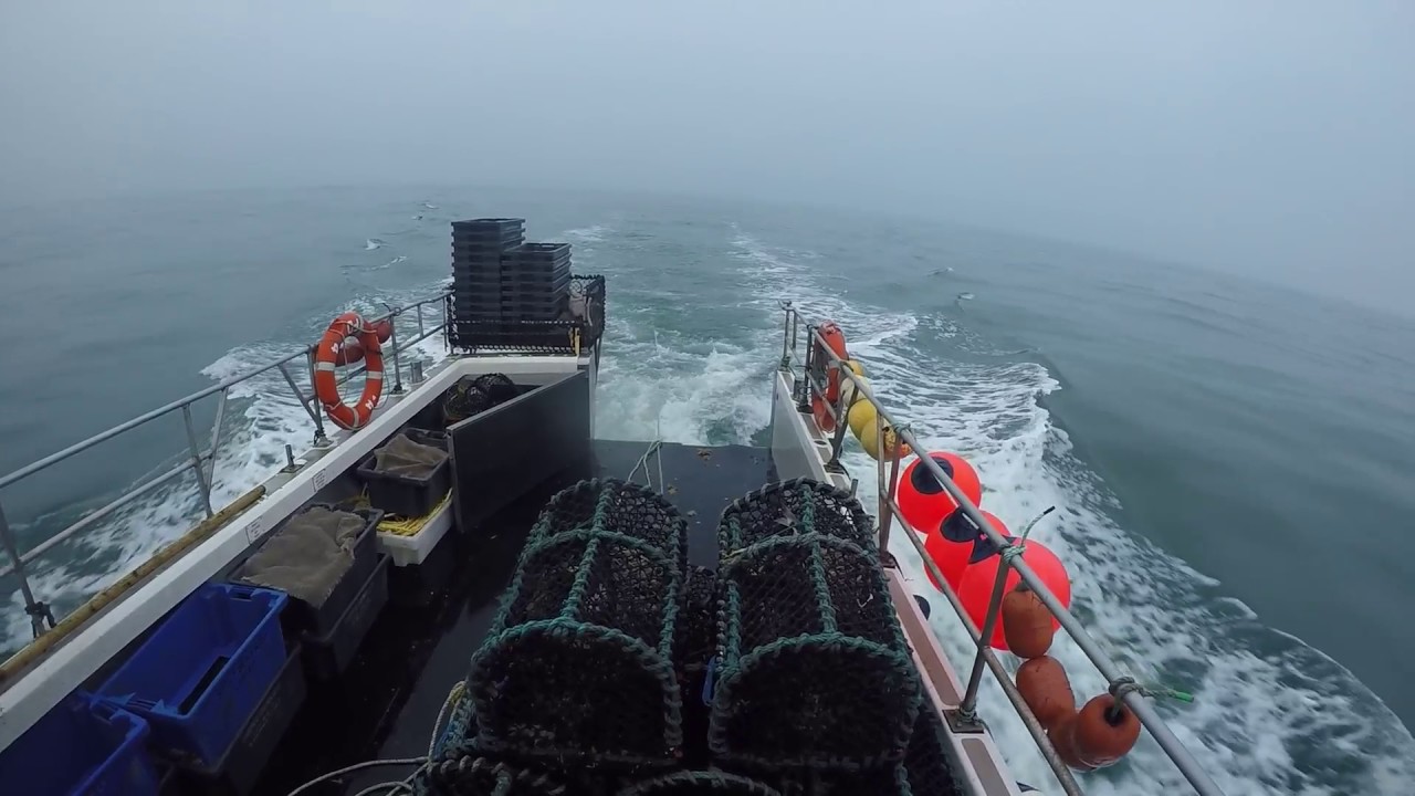 A Day on the Onward Pd349