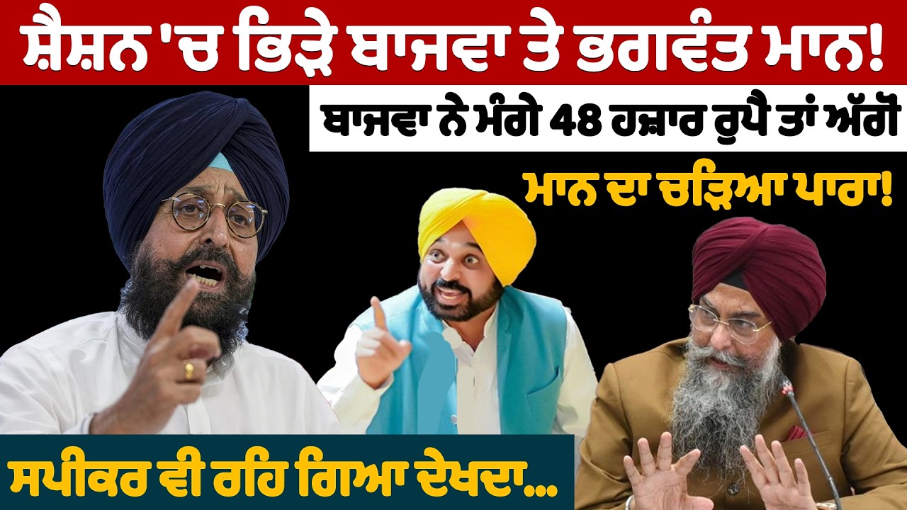 ਸ਼ੈਸ਼ਨ 'ਚ ਭਿ.ੜੇ ਬਾਜਵਾ ਤੇ ਭਗਵੰਤ ਮਾਨ! | Partap Bajwa on Punjab Vidhan Sabha Session