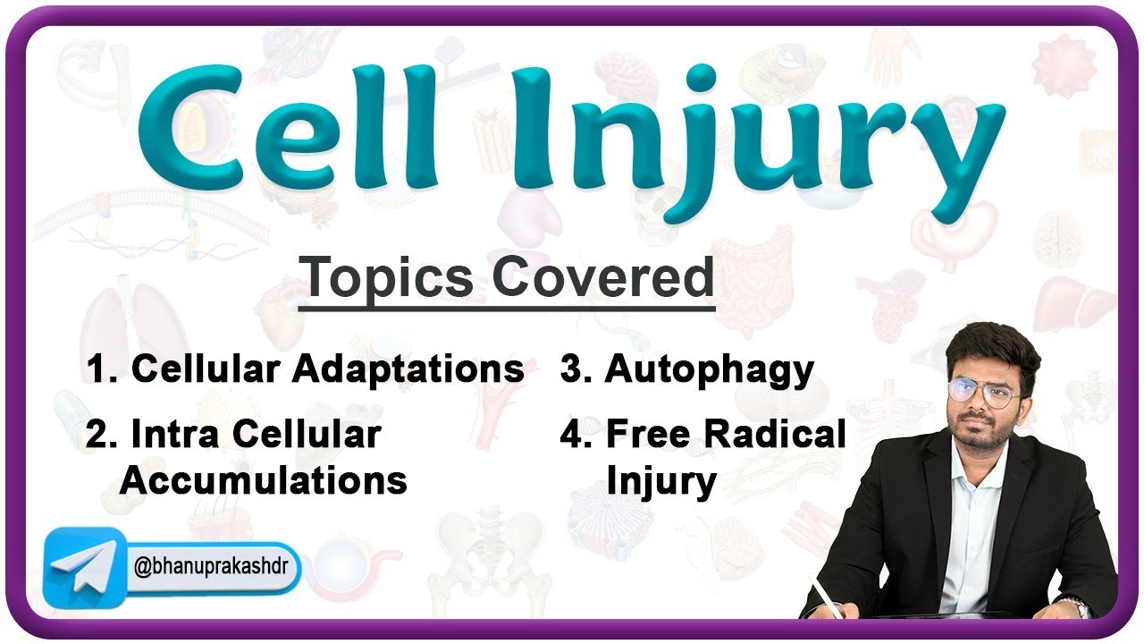 Cellular Adaptations & Intra Cellular accumulations and Autophagy🔬 | Pathology Lecture 2