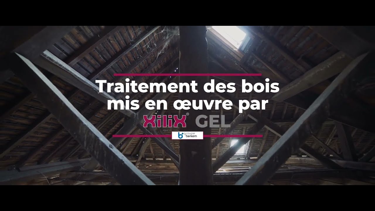 Xilix® Gel 🇫🇷 - Traitement des bois