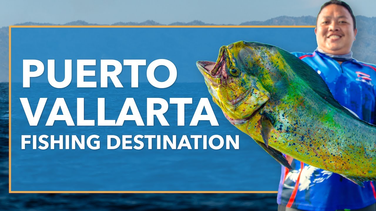 Puerto Vallarta Fishing: An Angler's Guide | FishingBooker