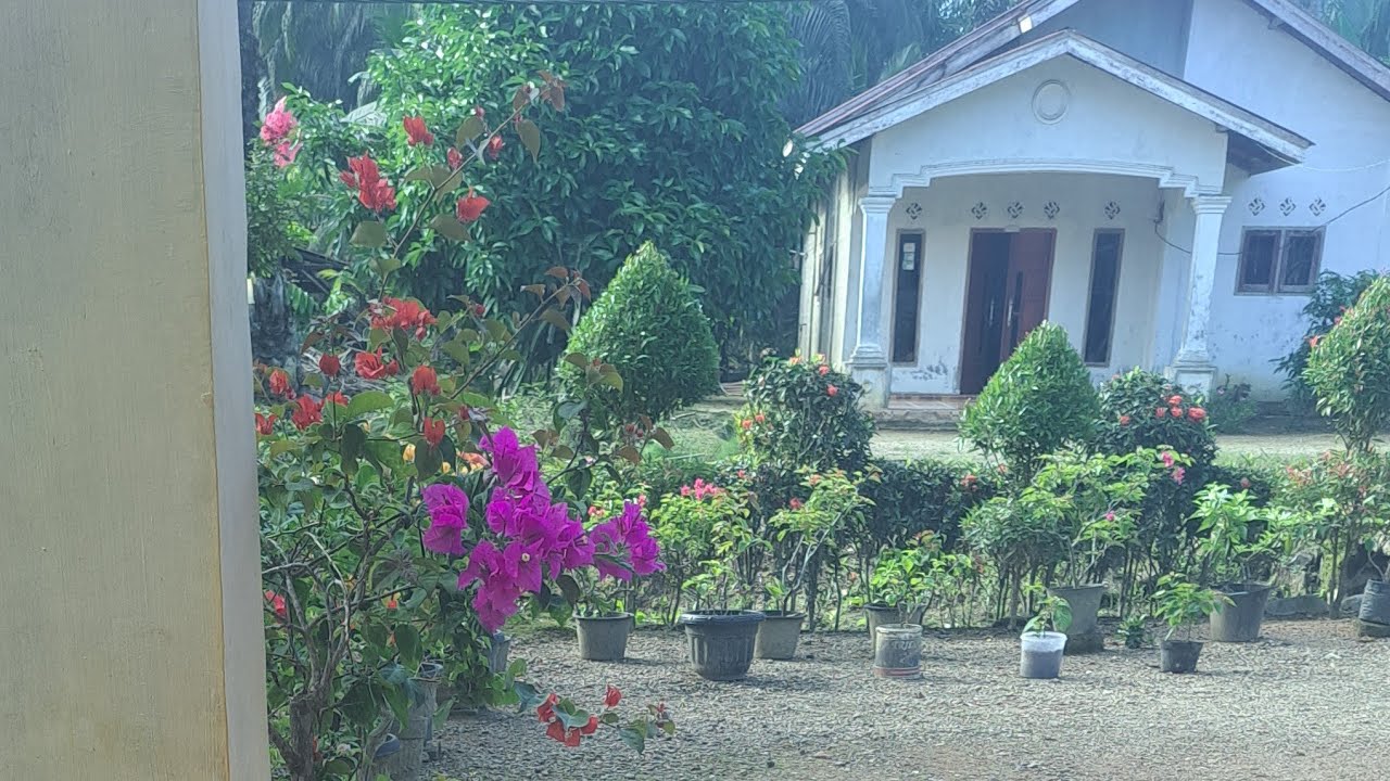 suasana pagi di desa banjar aur