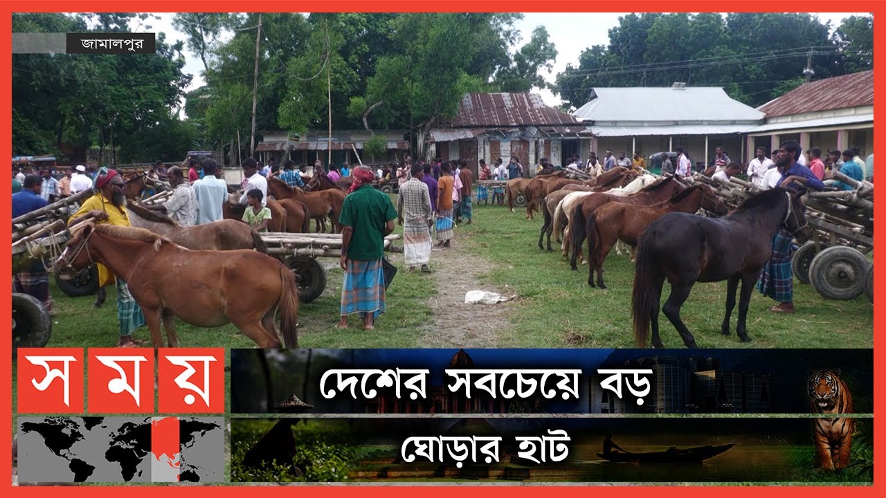 ১০ হাজার টাকায় ঘোড়া মিলবে যে হাটে | Horse market in Jamalpur | Somoy TV