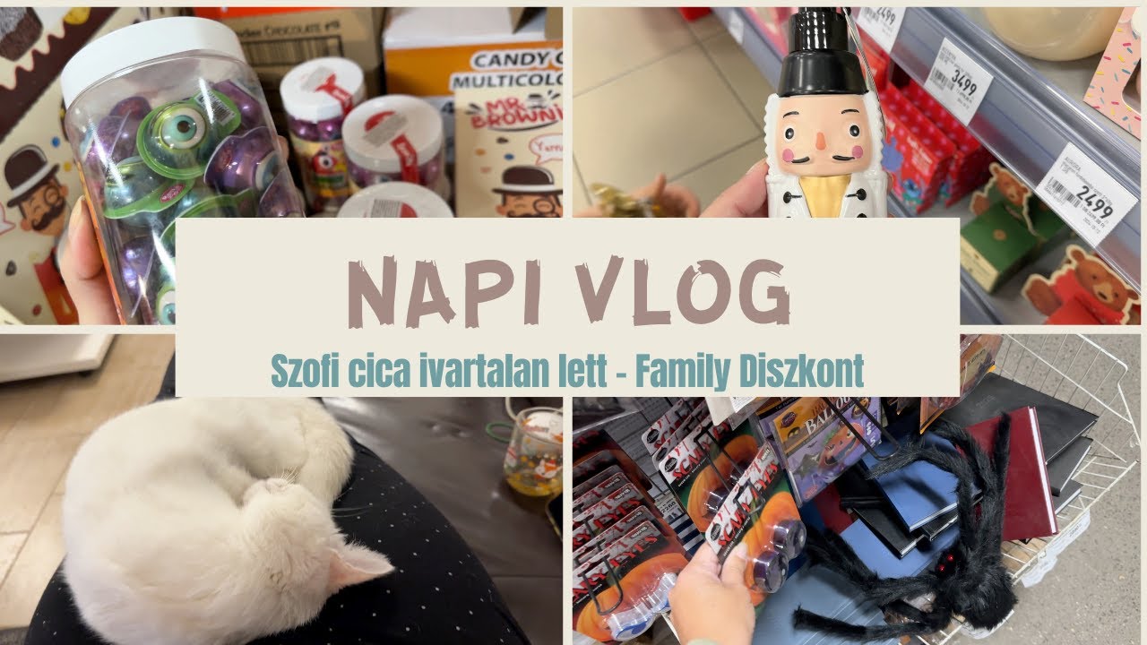 NapiVlog (okt. 15-18.) - Szofi cica ivartalan&iacute;t&aacute;s - Family Diszkont