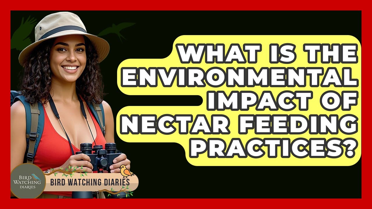 What Is The Environmental Impact Of Nectar Feeding Practices? - Bird Watching Diaries