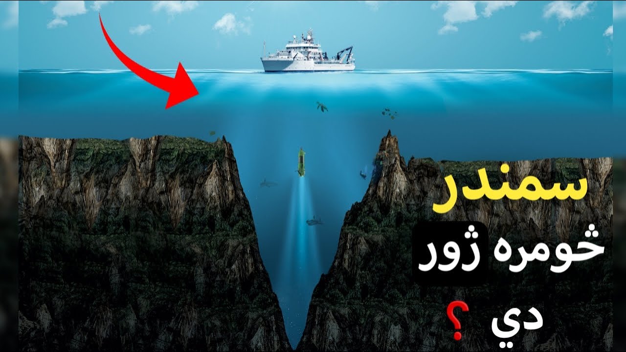 سمندر څومره ژور دي او په خپل ژوروالي کې کوم حیرانونکی مخلوقات لري