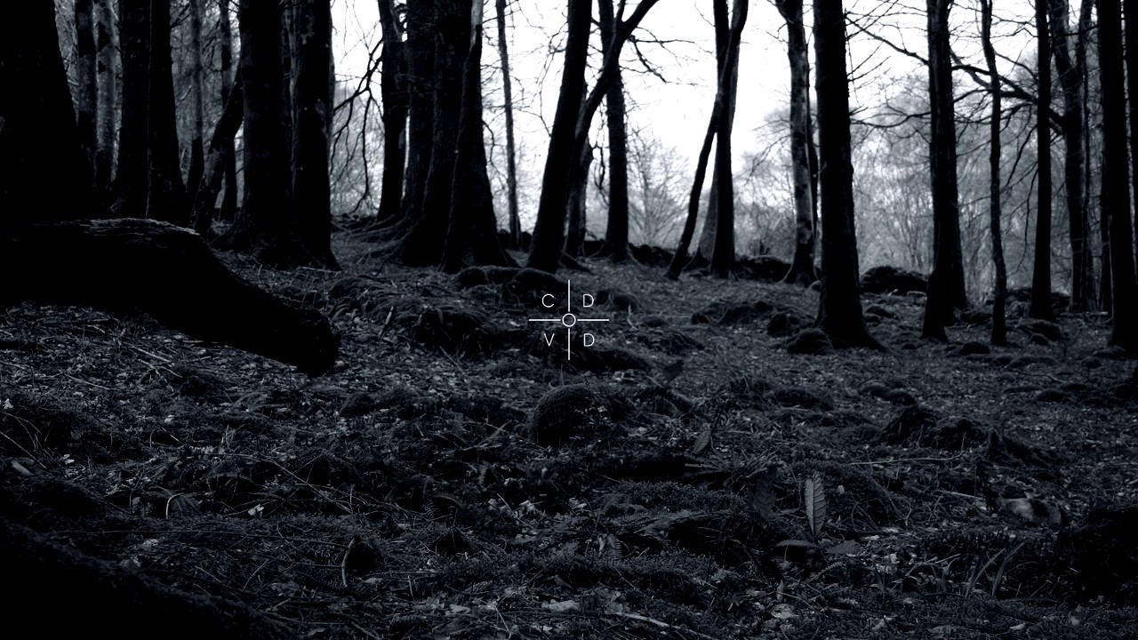 haven – aokigahara