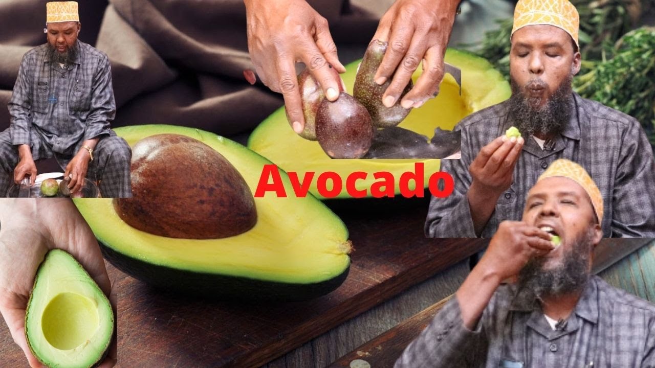 AVOCADO ,Saliideeda Maxay Sameyn Leedahay? Sir Kaa Qarsoon.