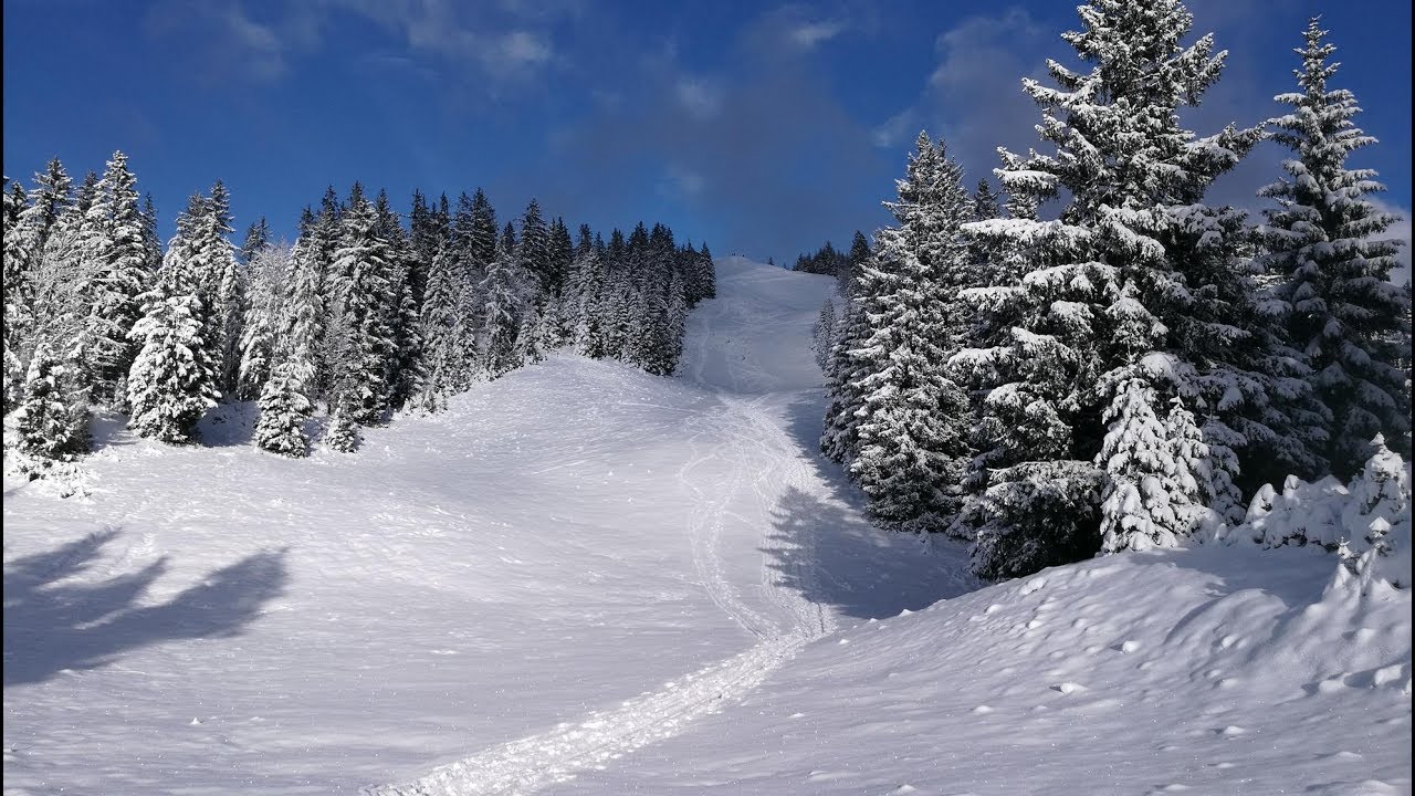 Skitour Hirscheck/ Hirschkaser (1390m) - Berchtesgadener Alpen