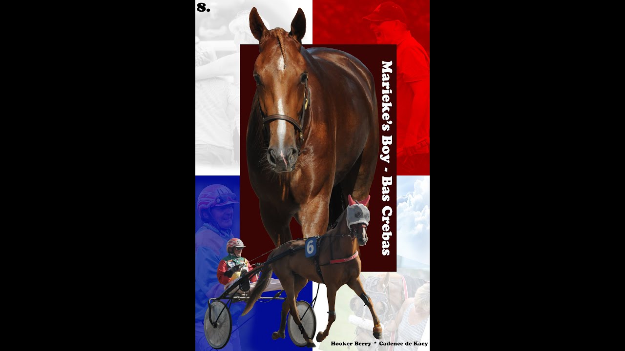 Derby 8 - Marieke's Boy & Bas Crebas