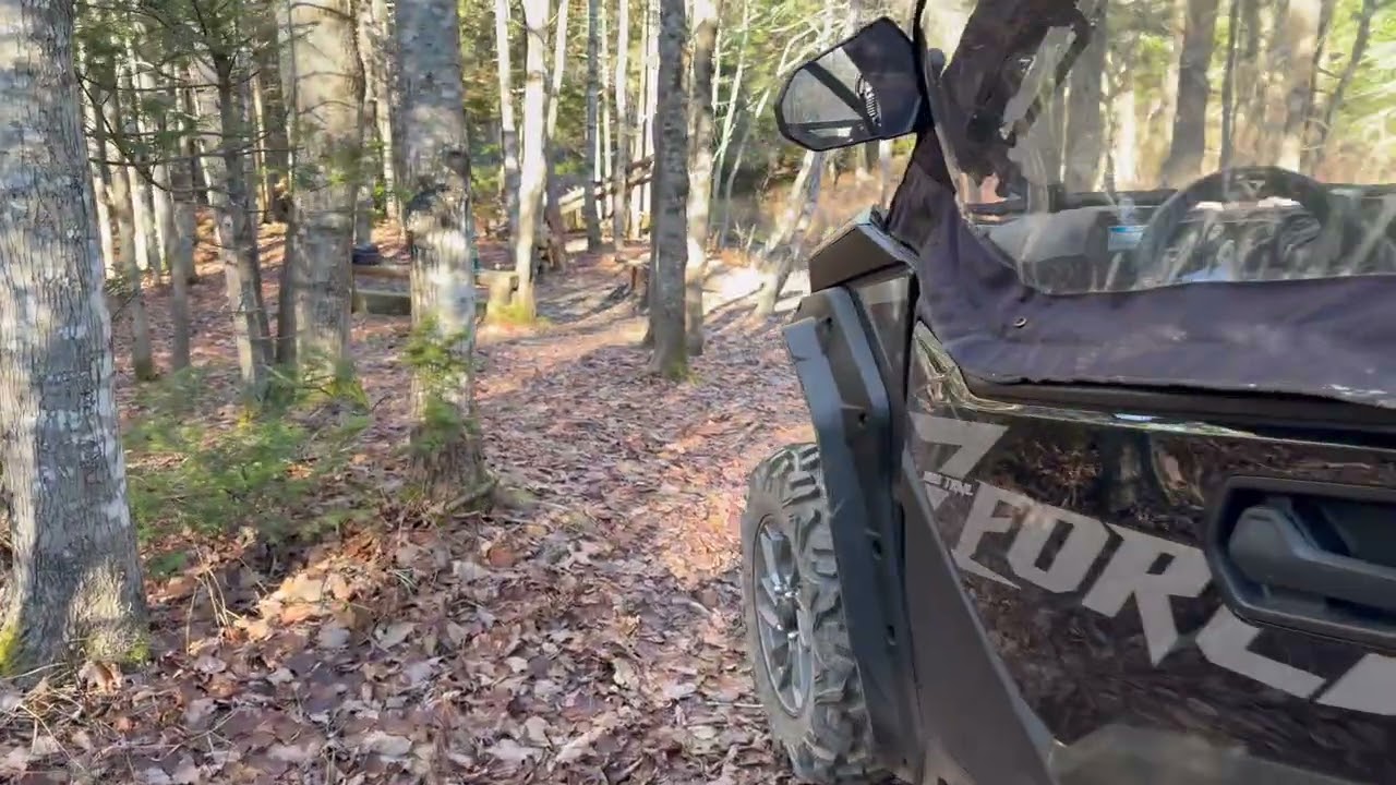 Lunch Bobcat story