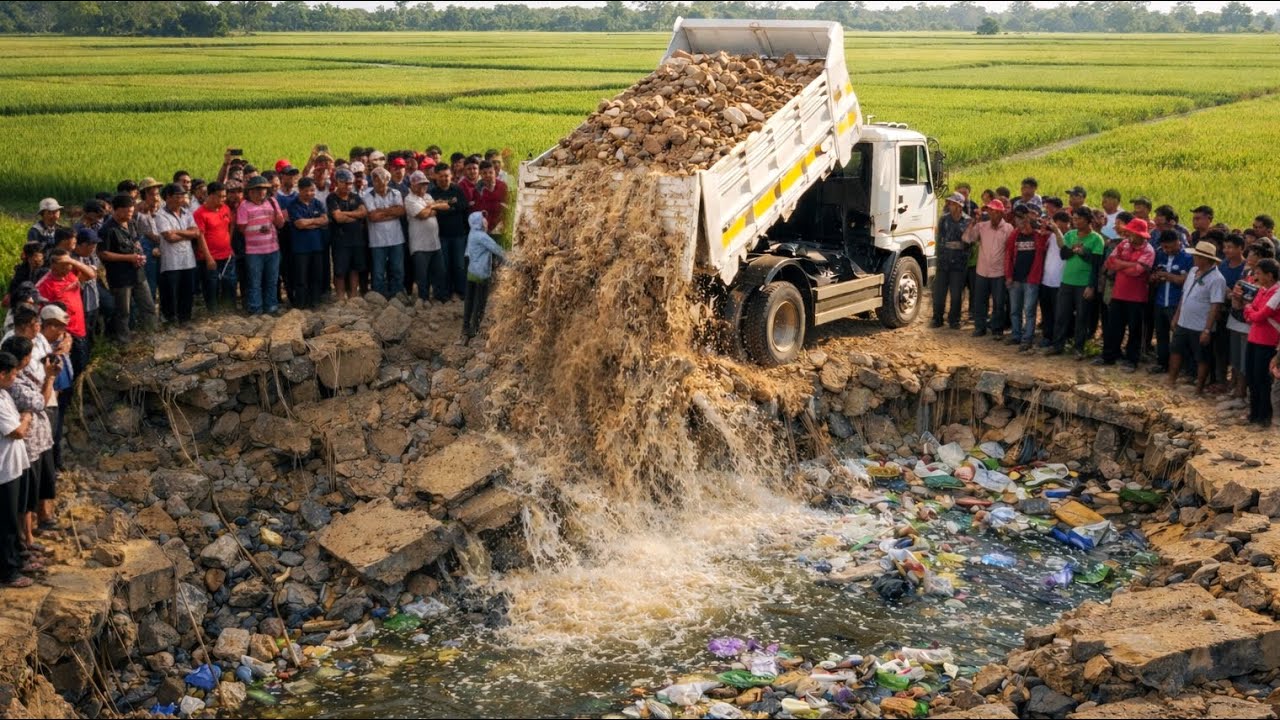First Start Amazing Project!! Landfill Delete Deep Pond By Skills Dozer Pushing Soil & 5ton Truck