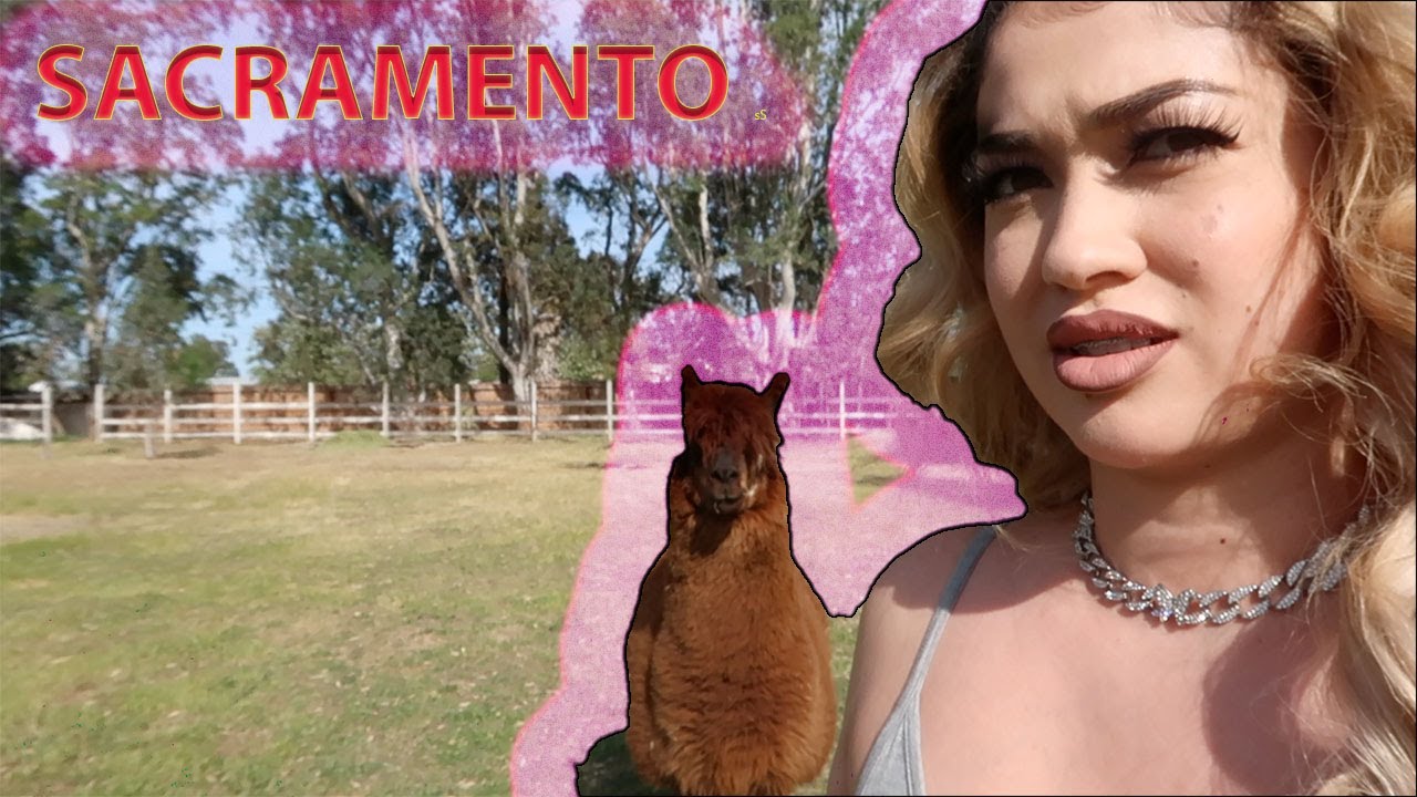 WHAT I DID ON MY SACRAMENTO TRIP!!