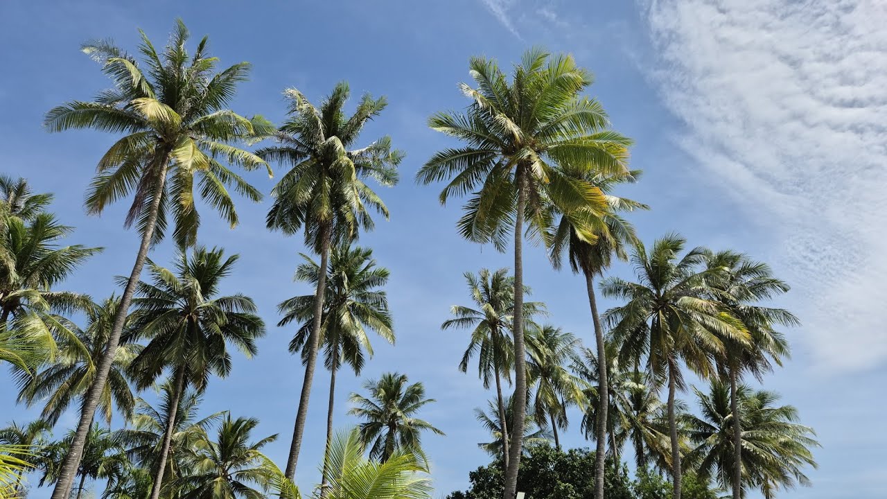 Koh Muk - De Tara Beach Resort - Thailand - Nov 2025