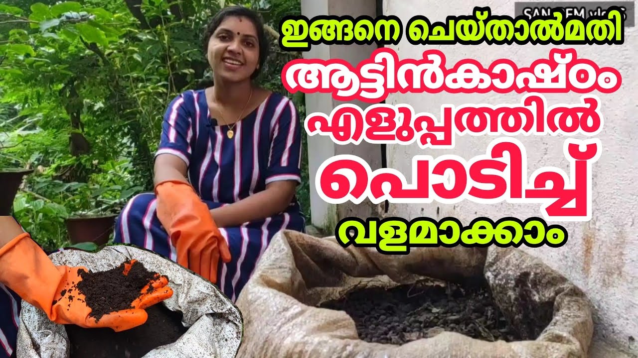 ആട്ടിൻകാഷ്ഠം എളുപ്പത്തിൽ പൊടിക്കാൻ ഇങ്ങനെ ചെയ്യൂ | Goat dung fertilizer |