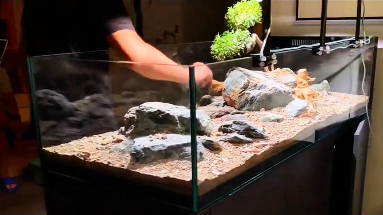 DIY Natural Stream Biome Step-by-Step, Stream Biotope Masterclass: From Wild to Aquarium (DIY Guide)