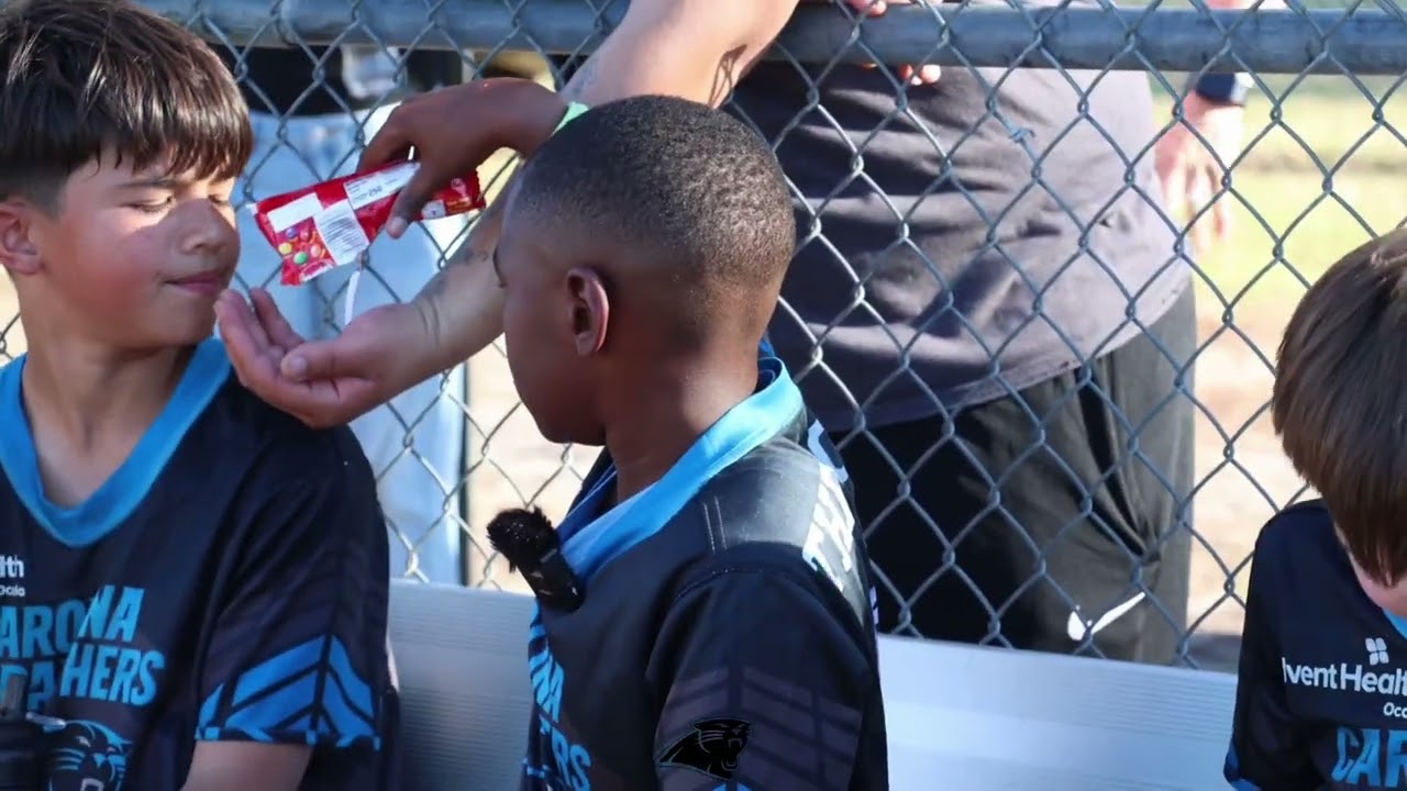 Bradley Beard 9u panthers Marion County flag