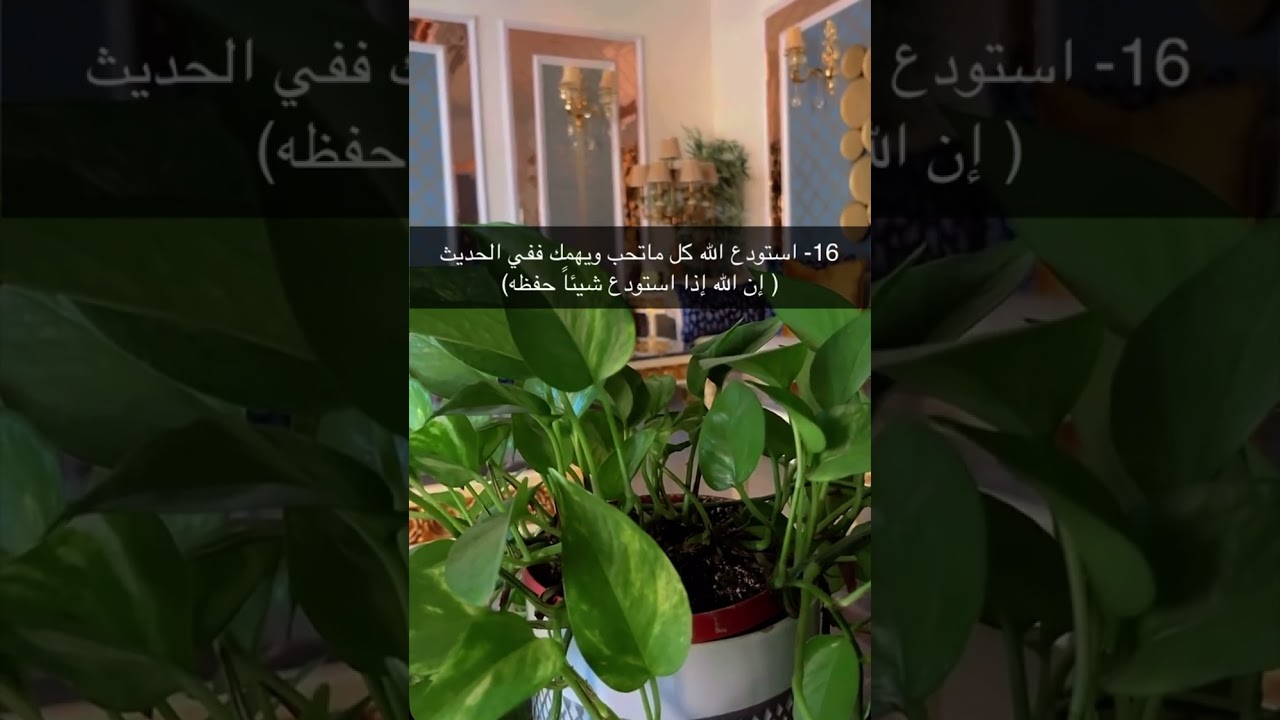 وصفة النجاة من ضغوط الحياة ( الجزء الثاني)