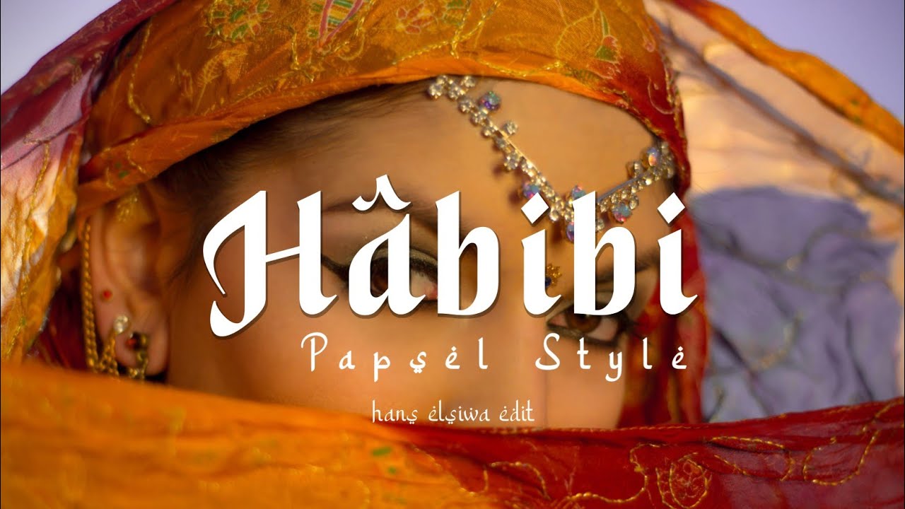PAPSEL STYLE ||| HABIBI (HNSLSW EDIT)