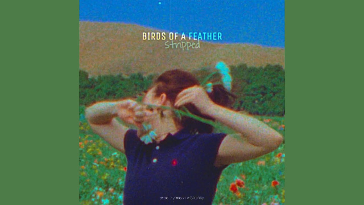 Billie Eilish - BIRDS OF A FEATHER (STRIPPED)