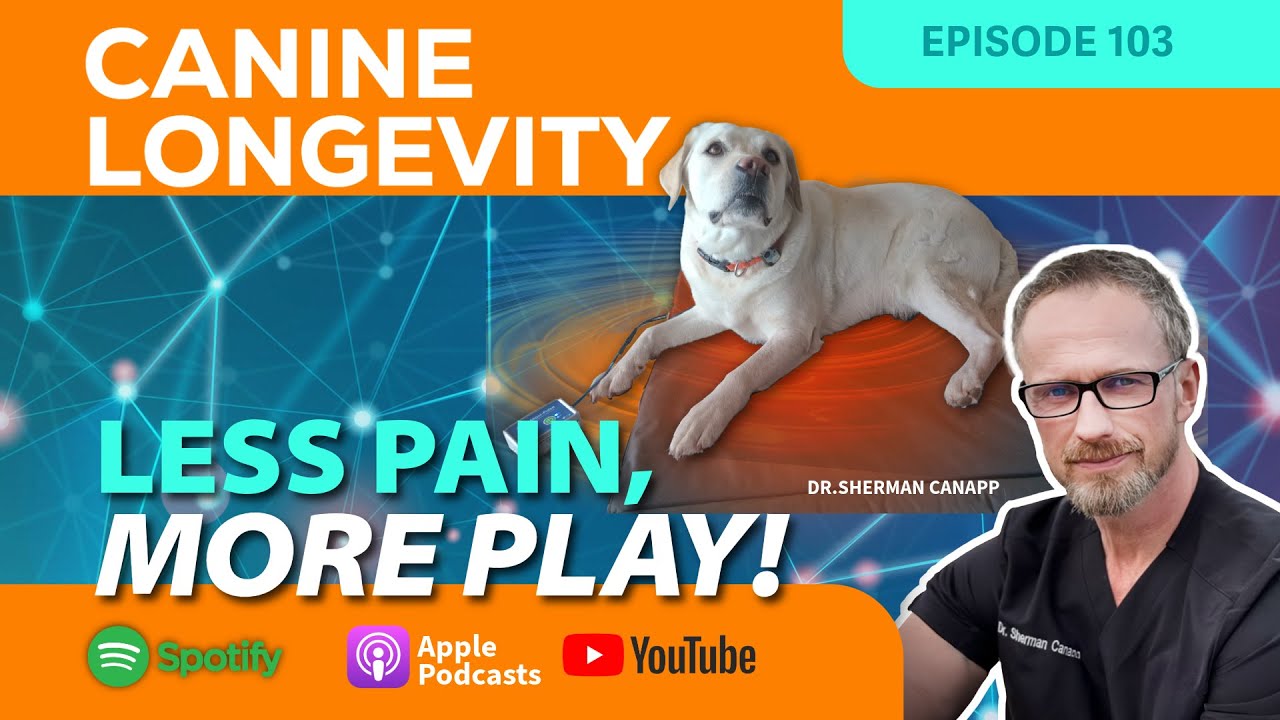 Canine Longevity 103-Less Pain More Play