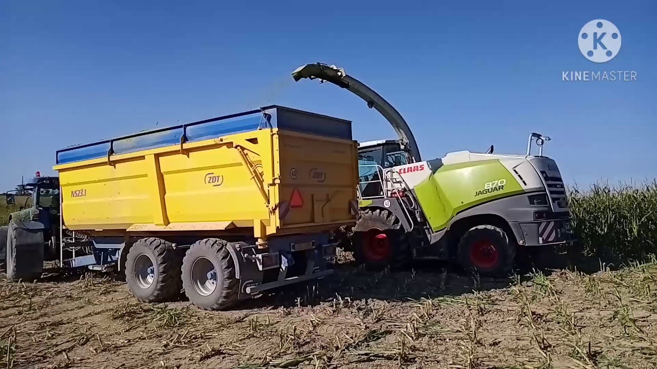 Siláže kukuřice 2020 s Claas Jaguar 870 - díl 1 (+ timelapse z jámy)