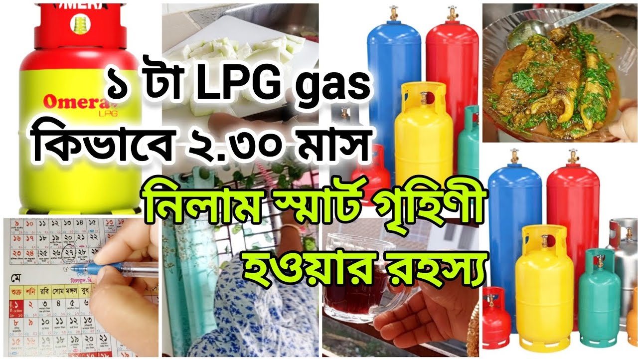 👩‍🦰 স্মার্ট গৃহিণী হয়ে গ্যাস যেভাবে ৩ মাস নিলাম 👍 LPG Gas cylinder | @HDFamily-HD 