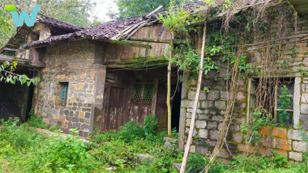 Discovering an abandoned house in the forest, young woman turned it into a luxury villa