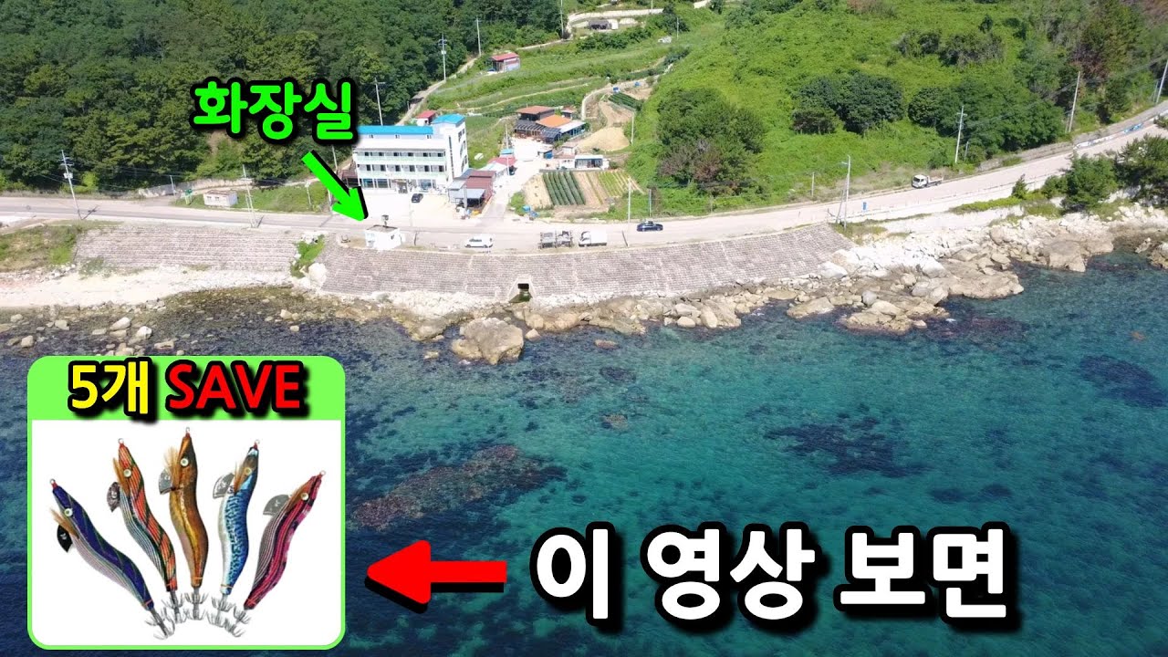 접근성 좋은 무늬오징어 포인트 상세설명(드론, 4K 화질설정 필수)