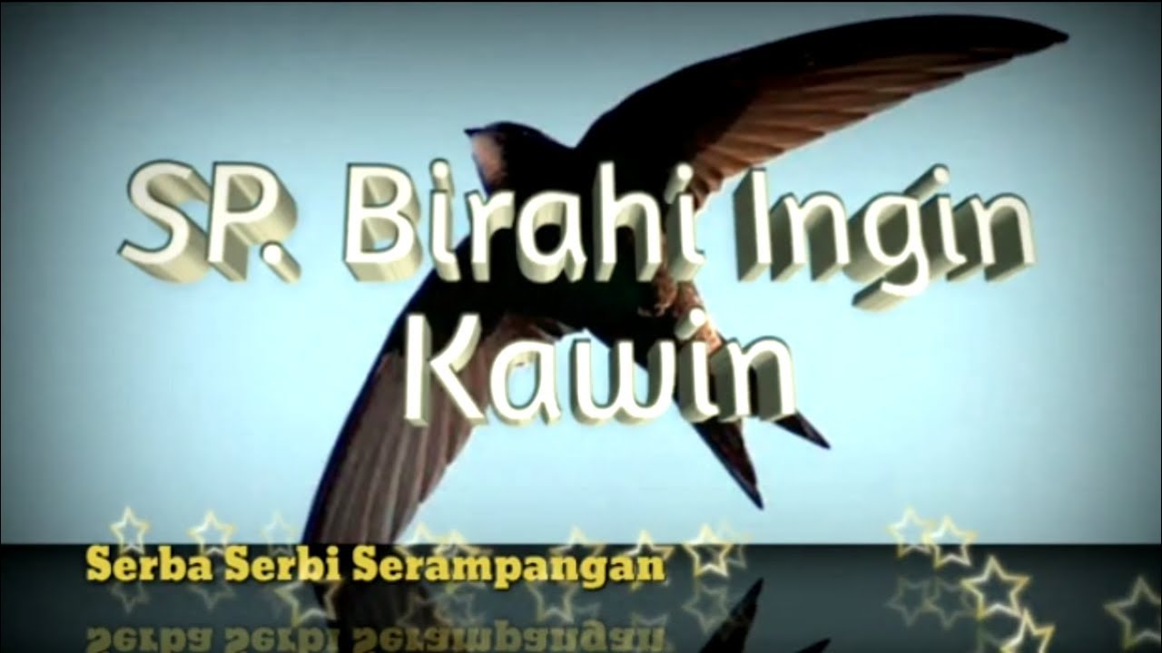 Suara Panggil Walet Birahi Jernih