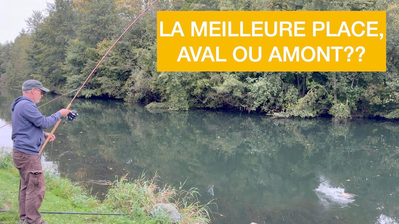La MEILLEURE place, AVAL ou AMONT???   4K
