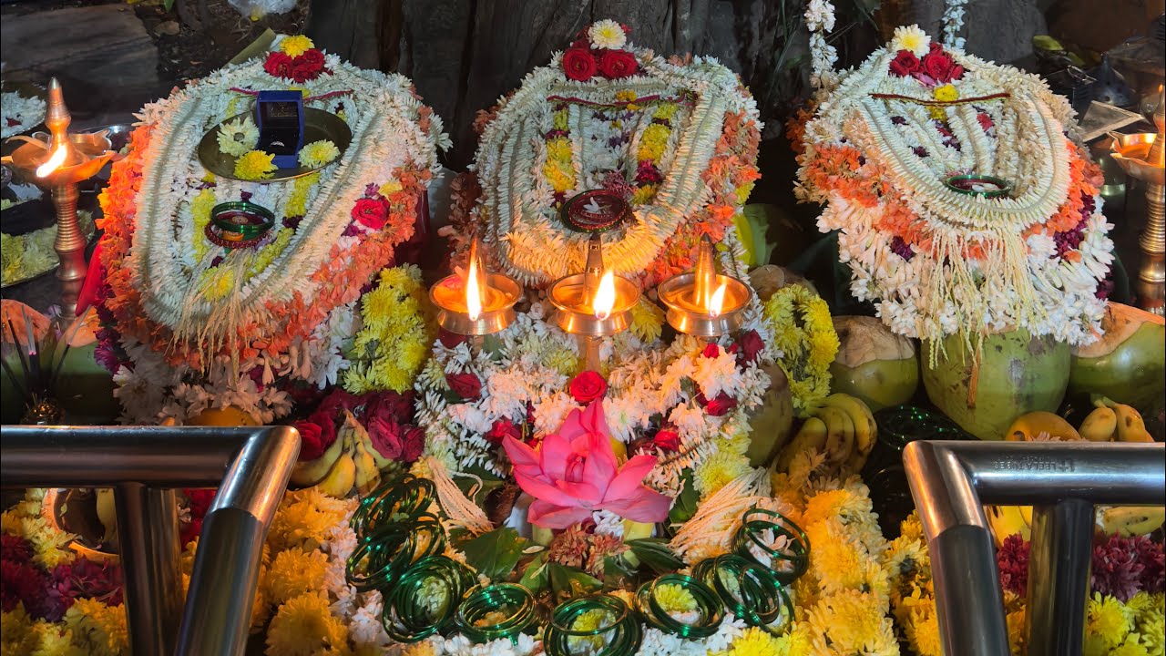 ಭಗವತಿ ಅಮ್ಮನ ಪೂಜೆ 30/01/2026