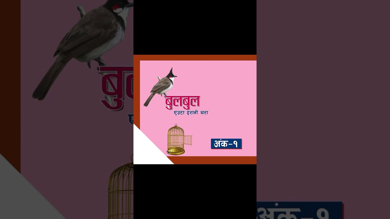 #bulbul #nepalichhapro #achyutghimirebulbul #gazal #gazalprogram #nepaligazal #shorts