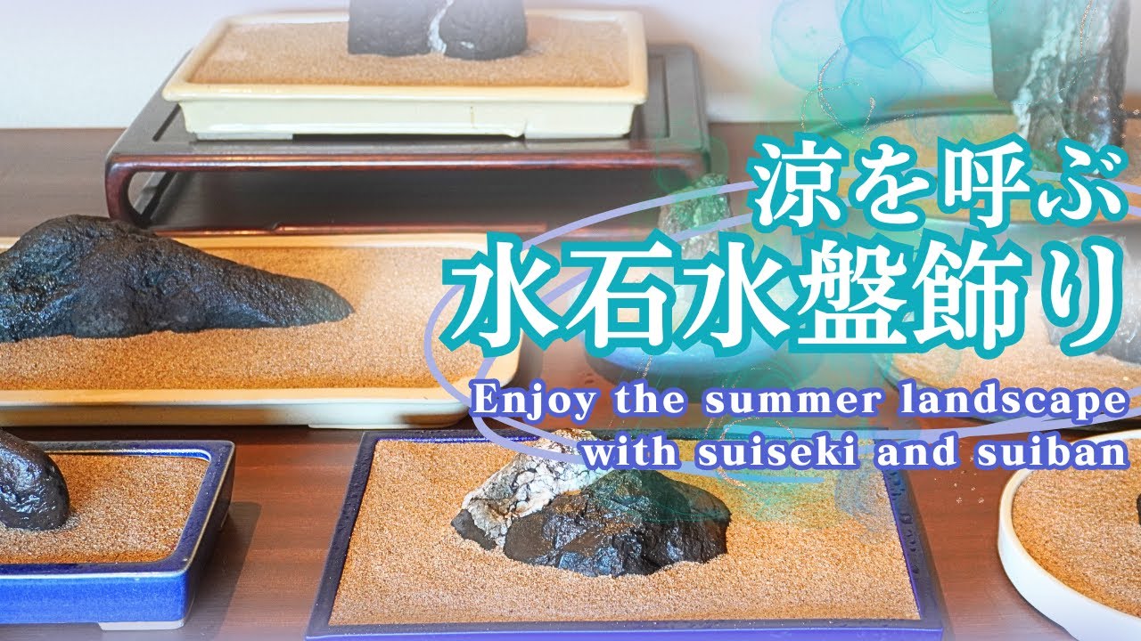 涼を呼ぶ夏の水石水盤飾り～水石にあった水盤で夏景色を描き出す～