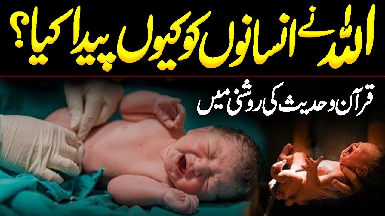 Allah Ne Insan Ko Kyu Paida Kiya | Insan Ki Takhleeq Ka Maqsad | Dunya Me Anay Ka Maqsad | Alfalah