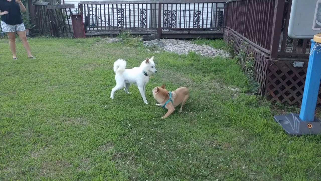 Brother & Sister Reunite Video 1