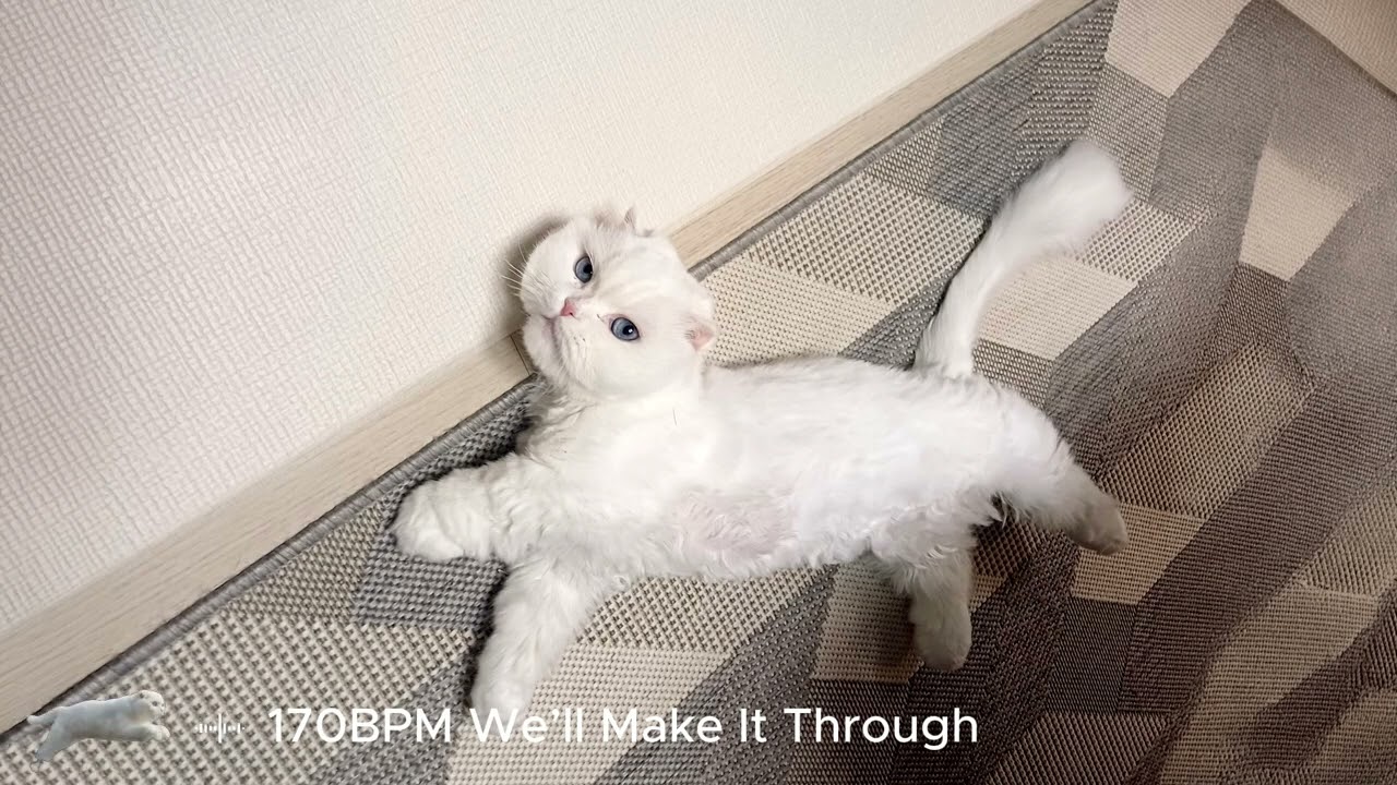 170bpm We’ll Make It Through (remix)