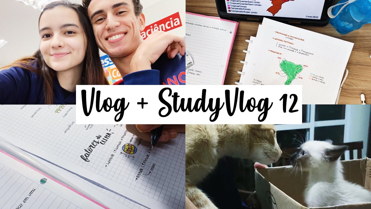 StudyVlog + Rotina | Estudando com meu namorado, gatinha nova, provas... | Ana’s Studies