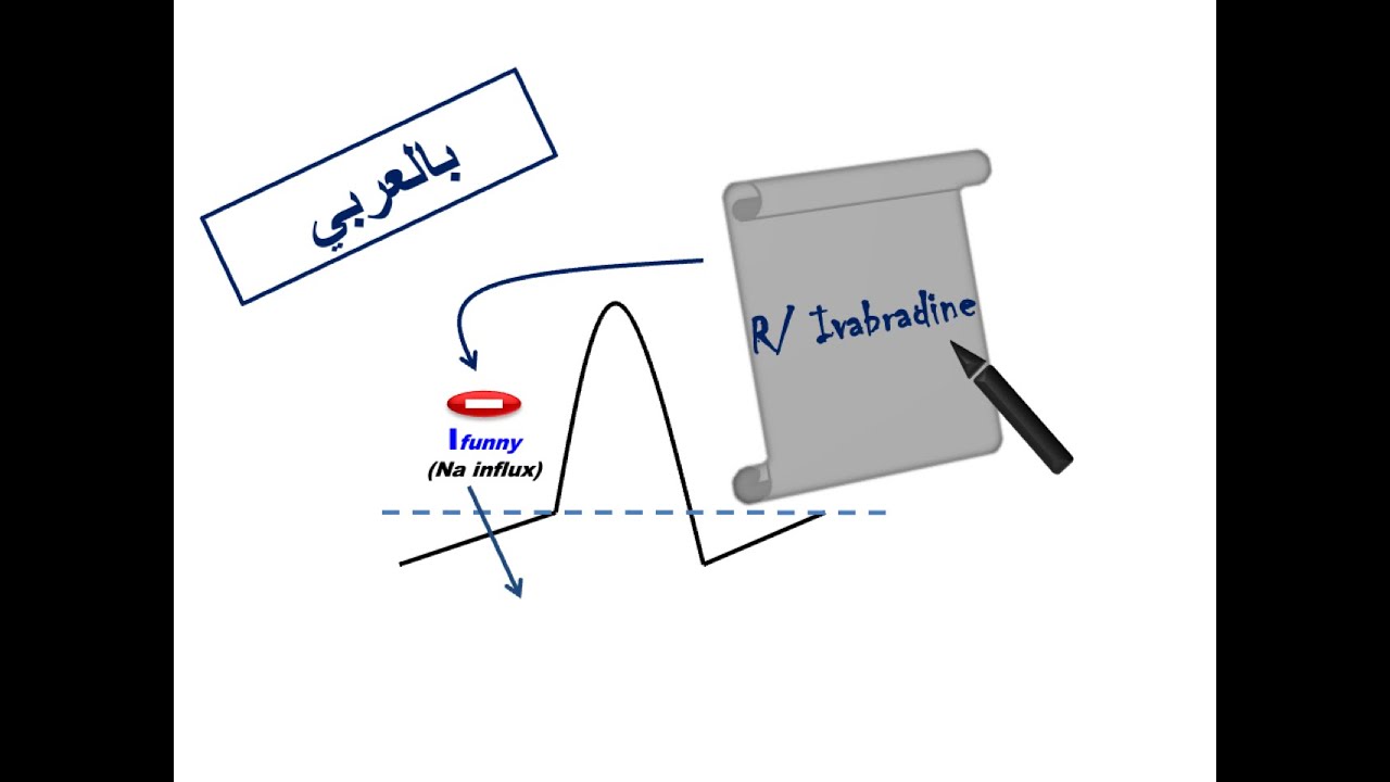 ESC Guidelines: Prescribing Ivabradine (Arabic Version)