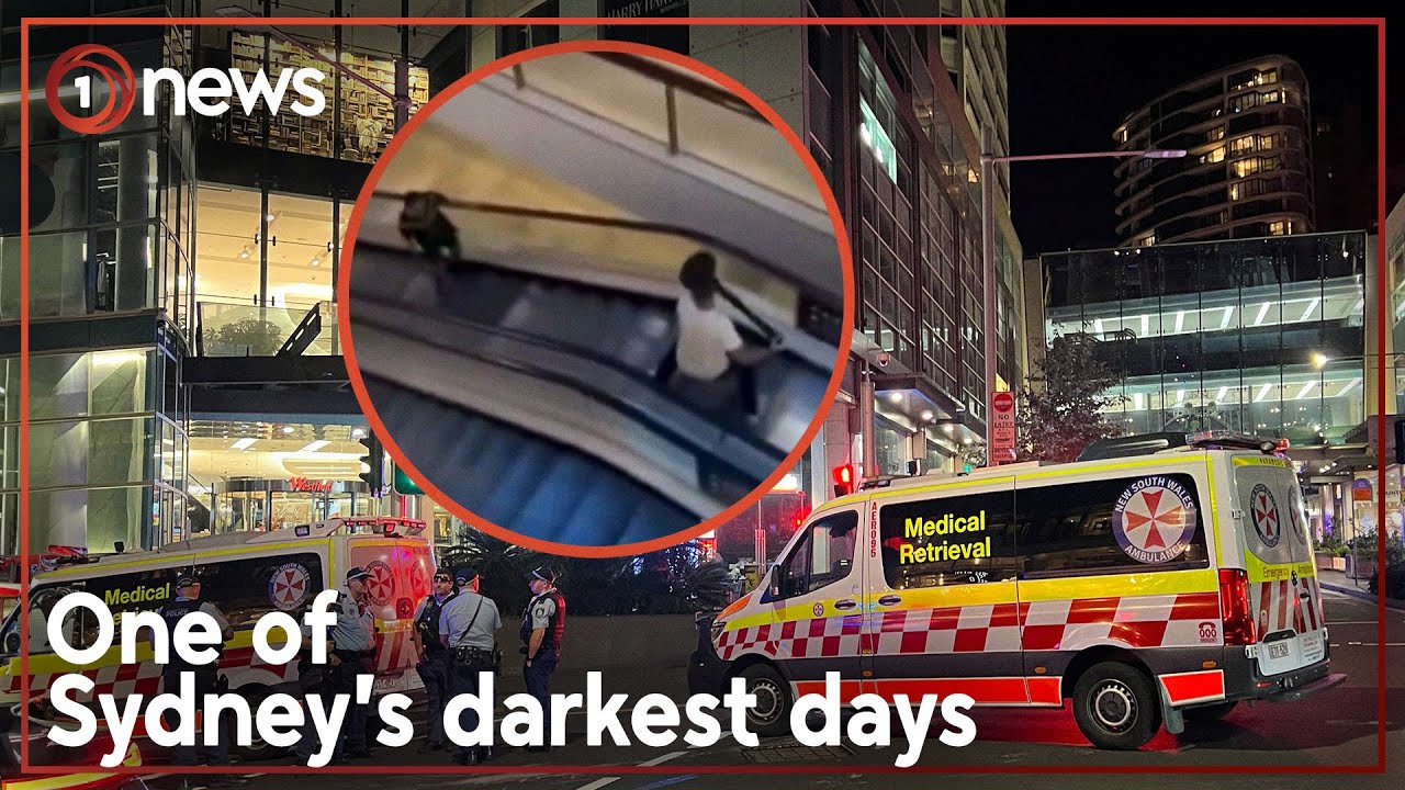 Who was the Bondi attacker? | 1News