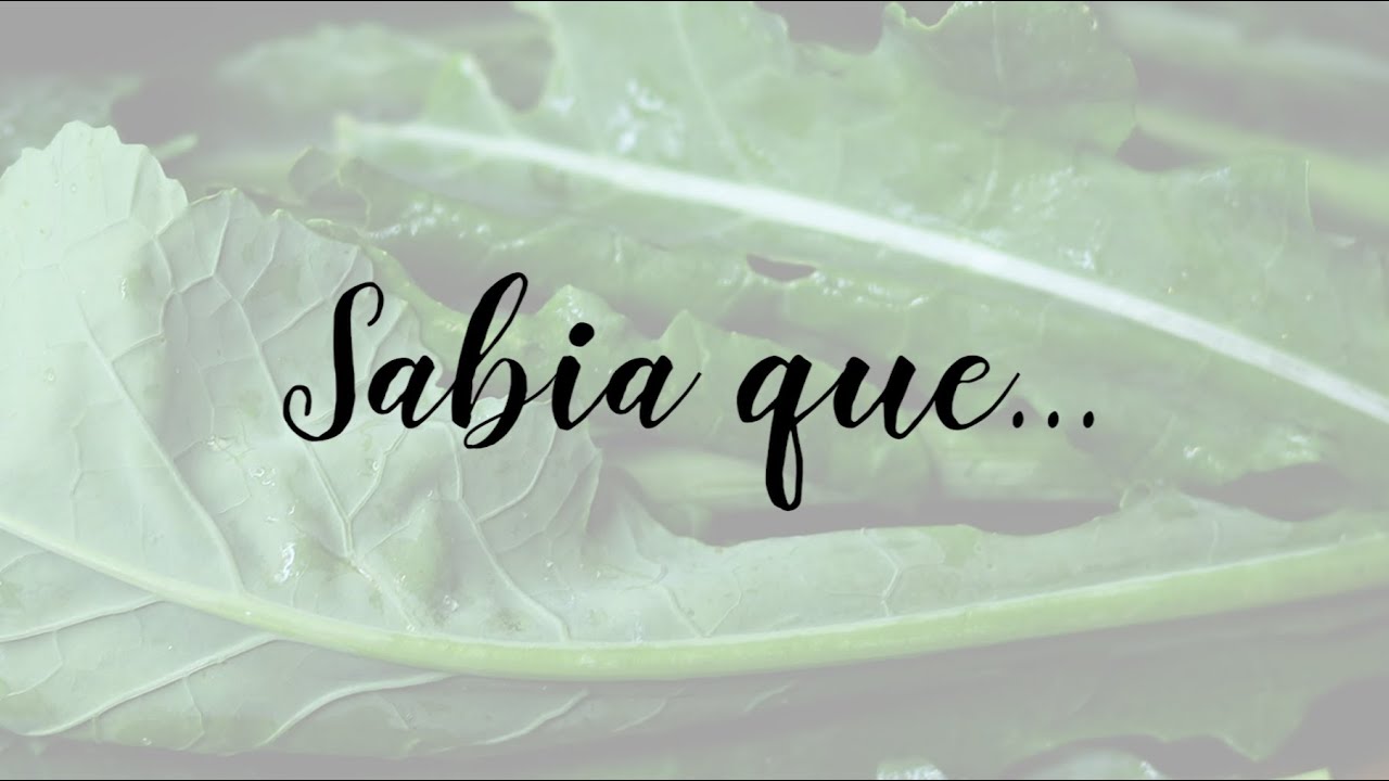 Sabia que... como congelar legumes e verduras