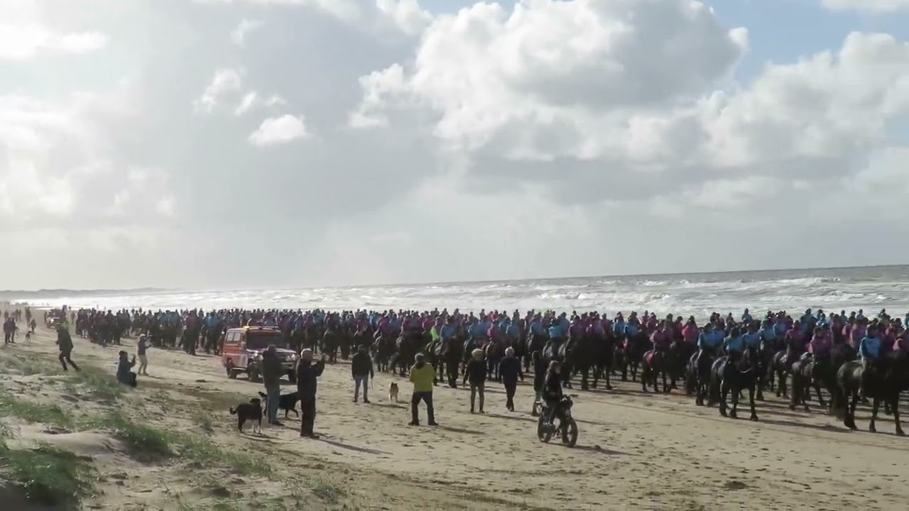friese paarden 2023 MP4